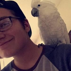 Meet your Posher, Lukas